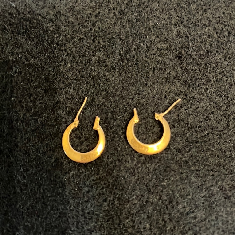 Gold Tone Loop Earrings